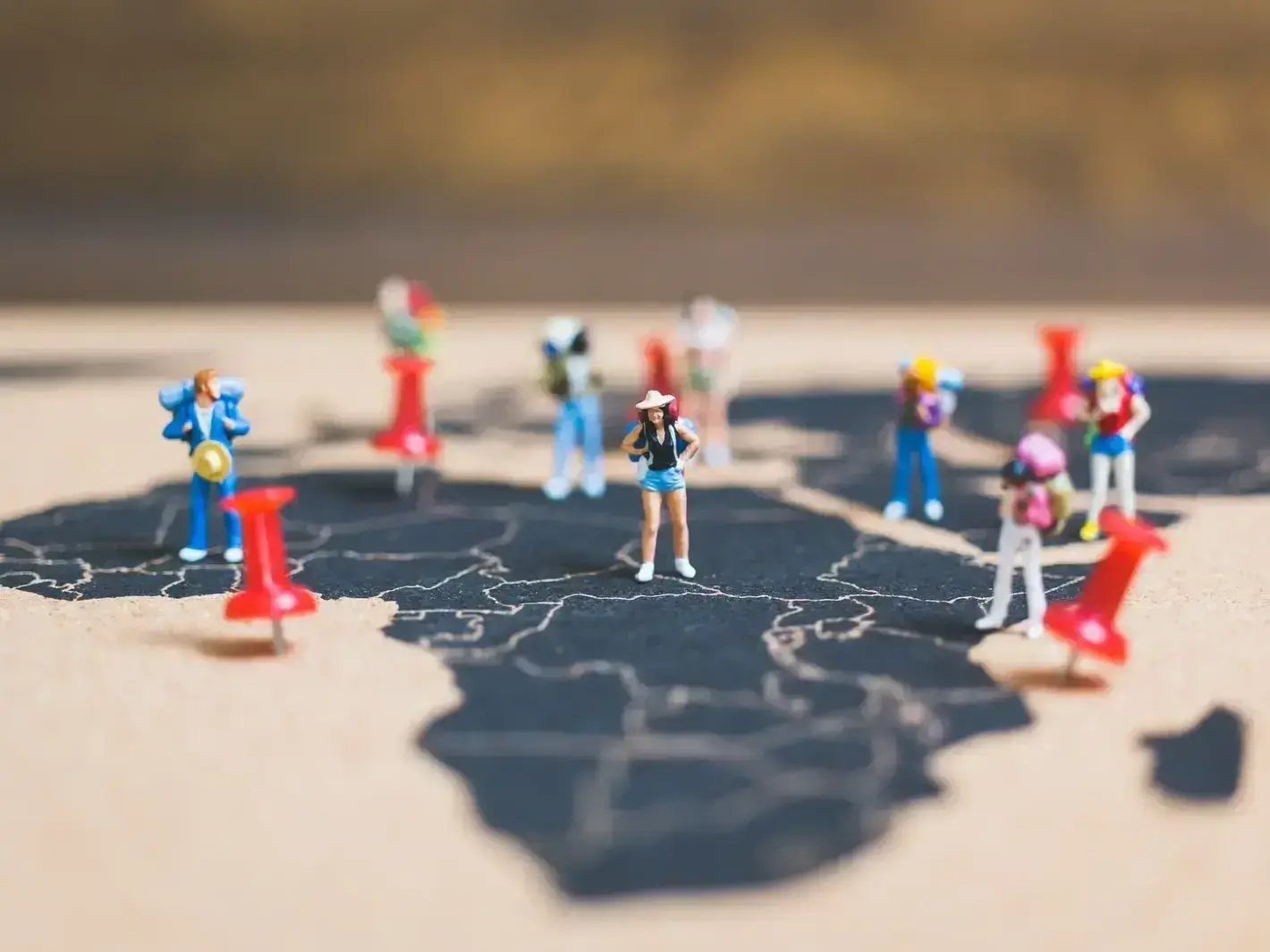 SEO audit report for a small business in Ellison during the Okanagan wet winter season